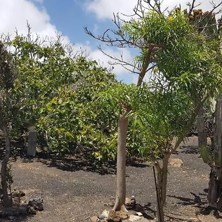 Buena Vista, Sea View Apto De Oasis Vasiliko , La Asomada アパート ティアス