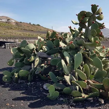 Buena Vista, Sea View Apto De Oasis Vasiliko , La Asomada
